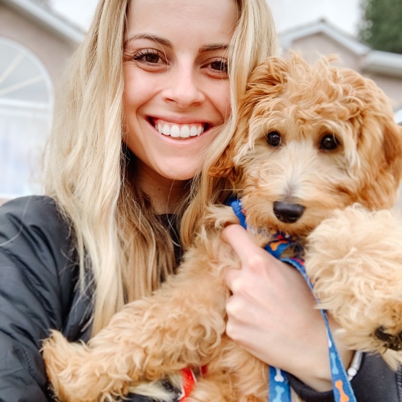 Meet your Posher, Dylan - Picture 1 of 1